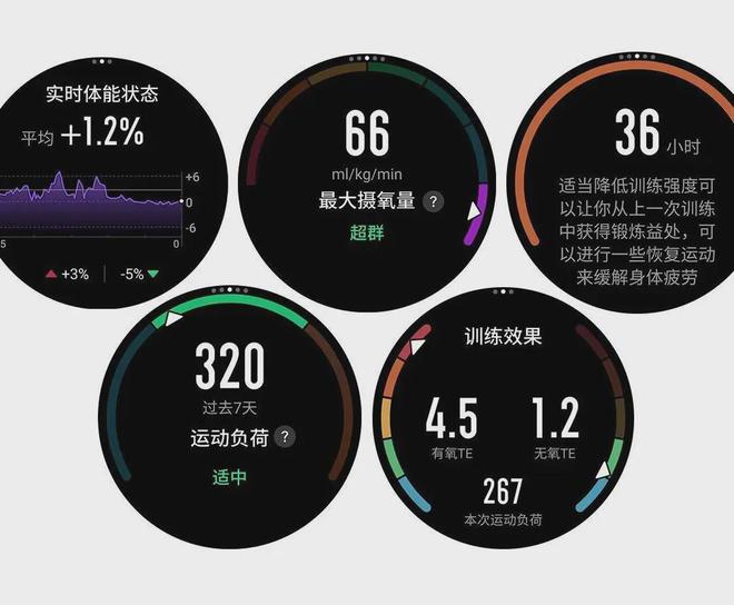 华米Cheetah Pro会是你下个赛场好队友吗？MG电子试玩1500元跑表首选？Amazfit(图2)